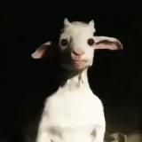 Логотип @millkkkkm - сонные