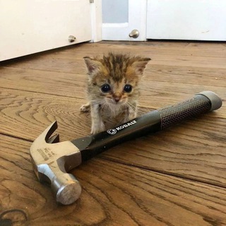 Логотип @milocrechat - kobalt.chat