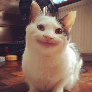 Логотип @milostipriatnosti - Милости-приятности❤️