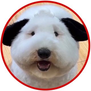 Логотип @milotahvosta - 🐶 МИЛОТА.ХВОСТА 🐕