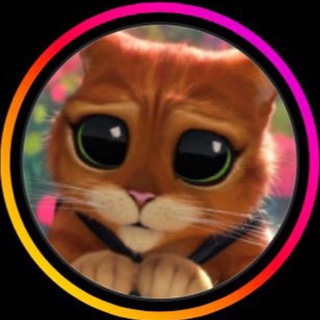 Логотип @milotak0ta - 🐈 МИЛОТАКОТА 🐈‍⬛