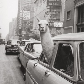 Логотип @milovanovdaily - Милованов Daily