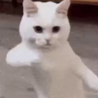 Логотип @milvideos - 🔥 Estados WhatsApp 🔥