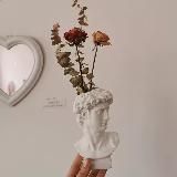 Домашний алиэкспресс