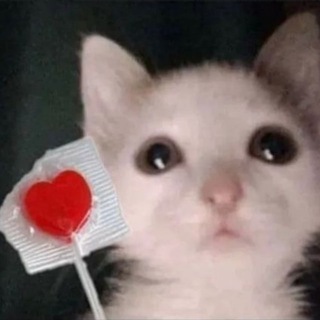 Логотип @mim1mim1m1 - Котёнок по имени Хуй