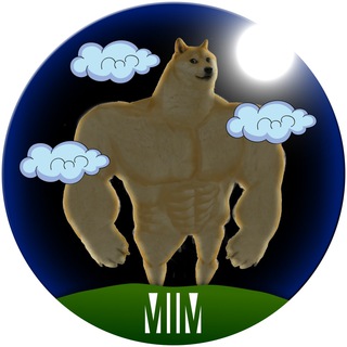 Логотип @mim_team_gym1 - Бооже, какой качёк!