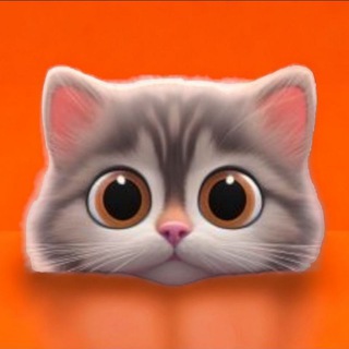 Логотип @mimicatanddog - КотоМания