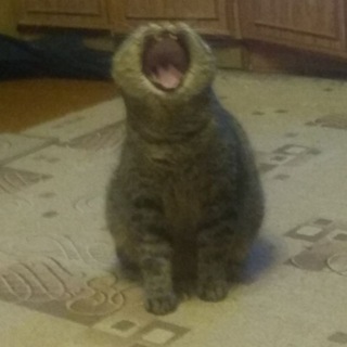 Логотип @mimimetrchanel - Mimimetr channel Russia