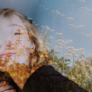 Логотип @mindaniels - mindaniels