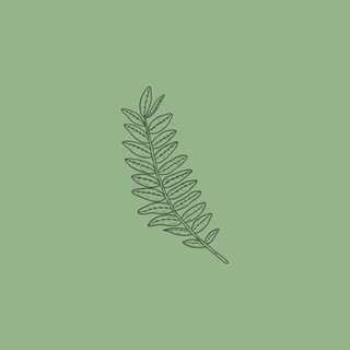Логотип @mindfulclass - Класс Осознанности