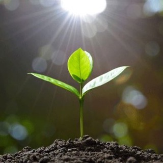 Логотип @mindfulnesseveryday - Свобода быть собой🔹Юлия Козырь