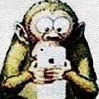 Логотип @mindyourmonkey - Mind your monkey