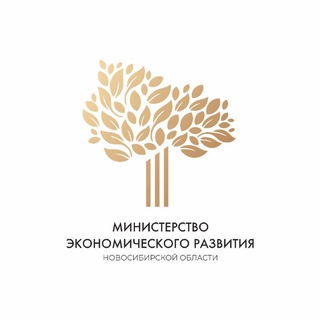 Логотип @mineconomnso - Поддержка экономики НСО