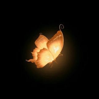 Логотип @minessa_18 - 𝑴𝒊𝒏𝒆𝒔𝒔𝒂🤍