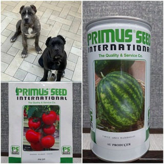 Логотип @mingbuloqelon - Мингбулок бозори🐣🐥🐓🍋🍋🍎🍏🐾🐶🐕🐈🐱