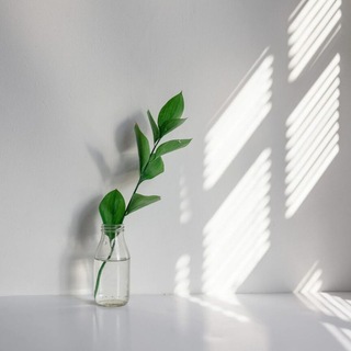 Логотип @mini_mali_st - Minimalism