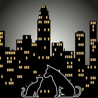 Логотип @mini_priyut_kzn - Мини приют Казань