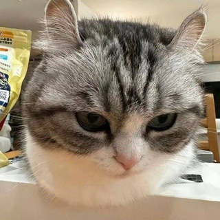 Логотип @miniadverse - miniadverse