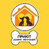 Домик Мелкашей - приют для маленьких собак