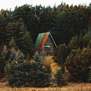 Логотип @minidom_les - Мини дома или жизнь в лесу