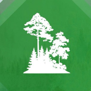 Логотип @minleshoz27 - Министерство лесного хозяйства и лесопереработки Хабаровского края