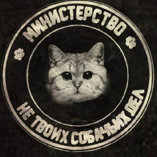 Логотип @minntsd - Министерство не твоих собачьих дел