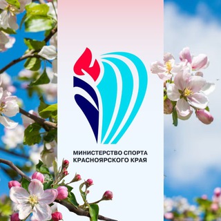 Логотип @minsport24 - Министерство спорта Красноярского края