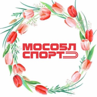 Логотип @minsportmochat - Министерство спорта МО Chat