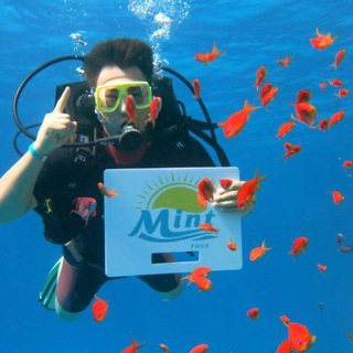 Логотип @mint_tour2 - Мінт тур