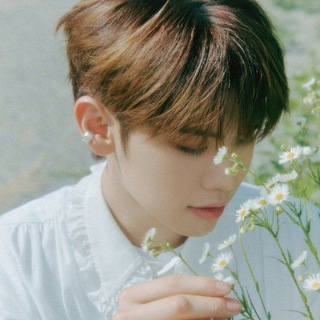 Логотип @mint_txt - переезд mint ‘🌿 — lovespace