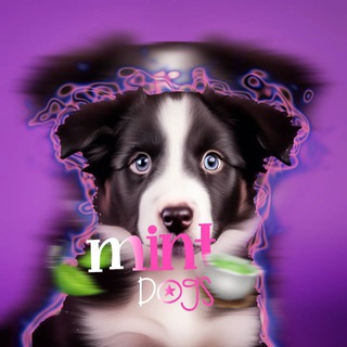 Логотип @mintdogsoff - ¡𝙢𝙞𝙣𝙩 𝙙𝙤𝙜𝙨!