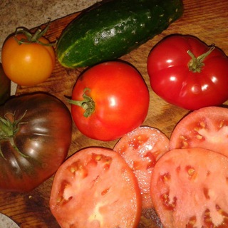 Логотип @minutka_ogorodnika - Минутка Огородника | Линда Мер - с вами! 👍