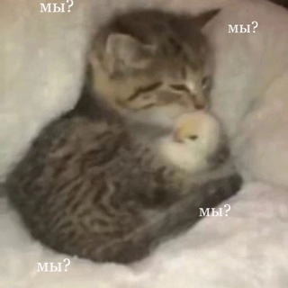 Логотип @minutkalove - Минутка любви💘