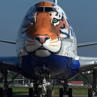 Логотип @minutkatrans - Минутка транспортного искусства