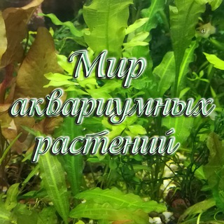 Логотип @mir_aquaplants - Мир аквариумных растений