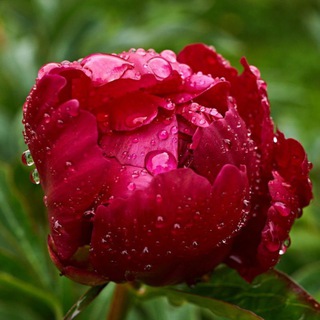 Логотип @mir_i_photo - Взгляд на мир через объектив