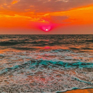 Логотип @mir_kartink0k - Природа/Nature