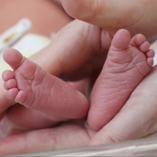 Логотип @mir_surmam - Суррогатное материнство Мир Сурмам