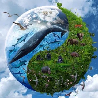 Логотип @mir_vookrug_nas - Мир Вокруг Нас🌏