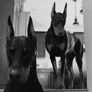 Логотип @miracleap - VII = VIII