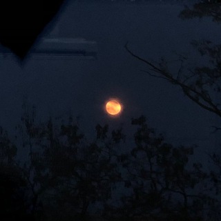 Логотип @miraclebugxs_chat - пр бывшие😹❤️