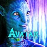 Логотип @mirdryzbazhava - mirdryzbazhava