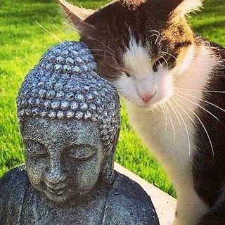 Логотип @miriammren - Будни 10-го аркана