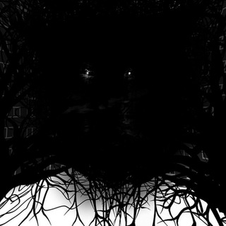 Логотип @mirkovladi - Мирко Влади