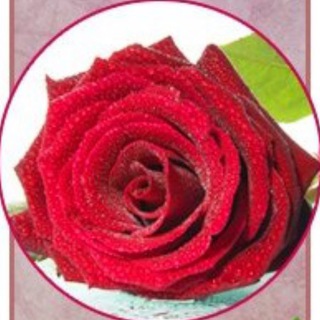 Логотип @mirlubim - Мир любимых женщин | Как быть в ладу с мужчинами и жизнью