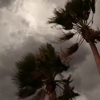 Логотип @mirrordelusion - mislivslux