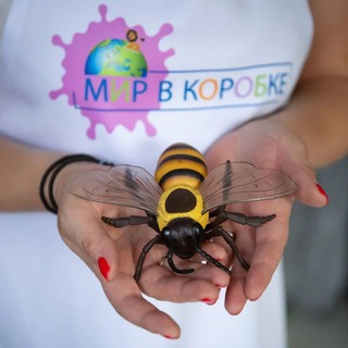 Логотип @mirvkorobke - Мир в коробке