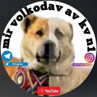 Логотип @mirvolkodav - Мир Волкодав Ав Кв N1