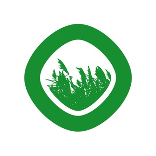 Логотип @miscant - Первый Питомник – все о мискантусе