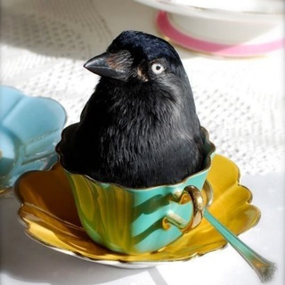 Логотип @misery_inc - Ну, допустим, ква (НЕ ВСТУПАТЬ)